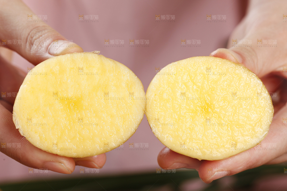 手里拿着迷你小土豆
