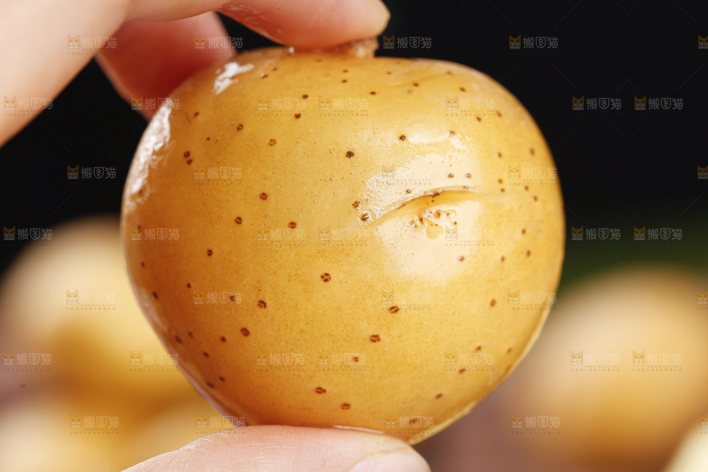 手里拿着迷你小土豆