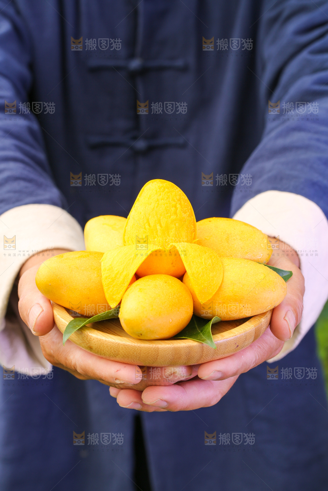 篮子里装着海南小台芒