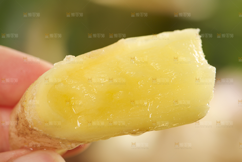 手里拿着红芽姜