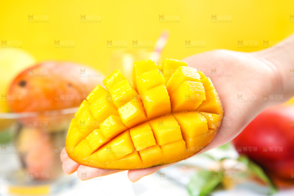 爱文芒