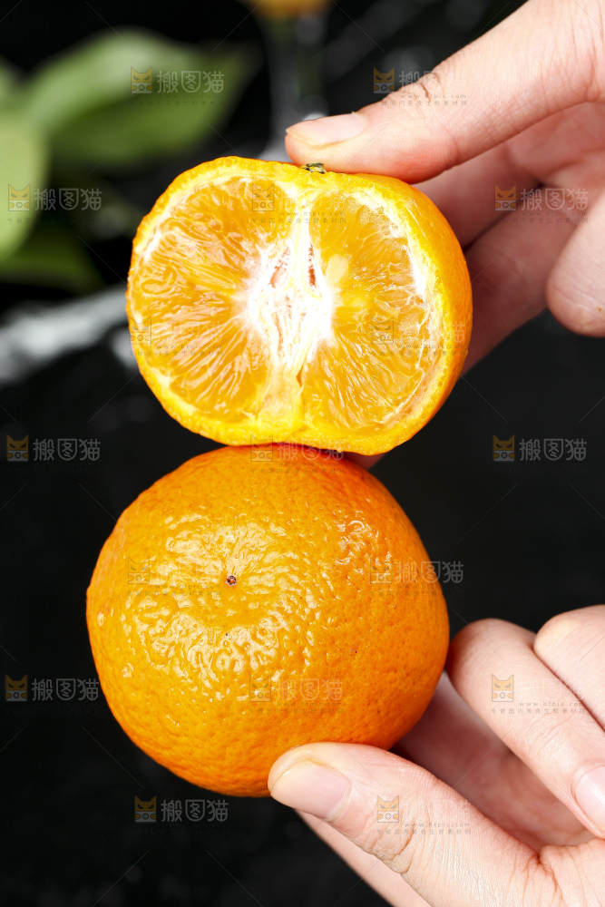 手里拿着椪柑橘
