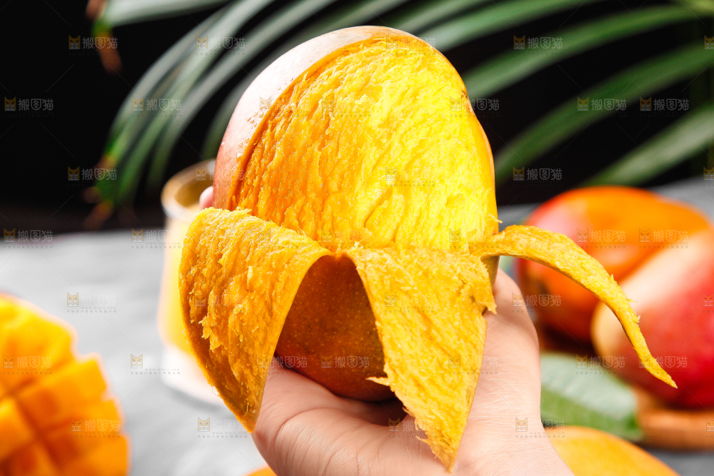 爱文芒