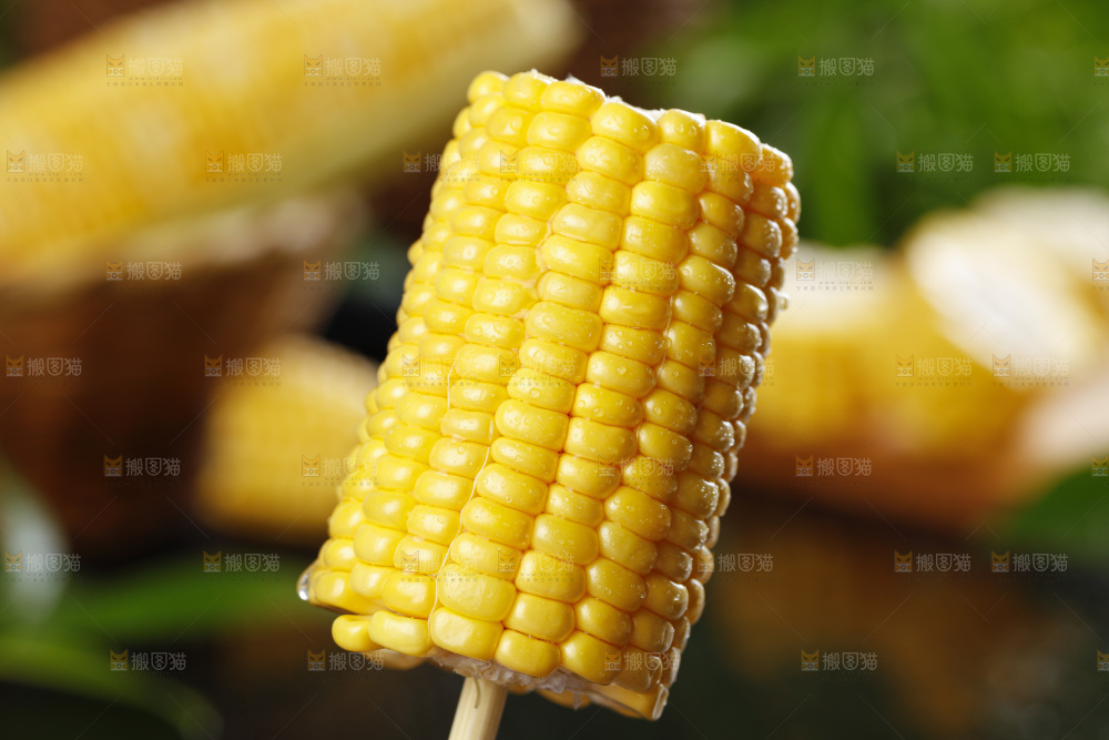 黑石板上的东北玉米