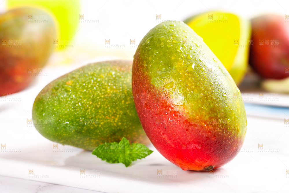 白底上放着吉禄芒