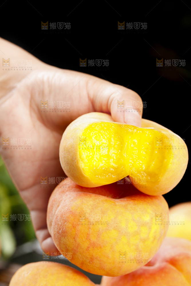 黑底上的毛蟠桃