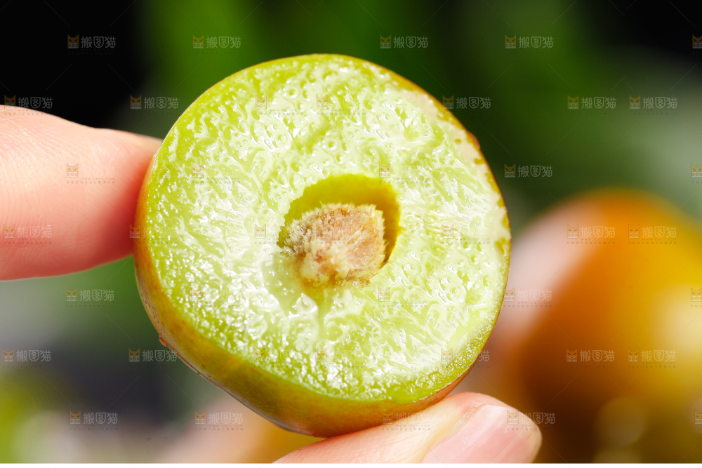 手里拿着茵红李