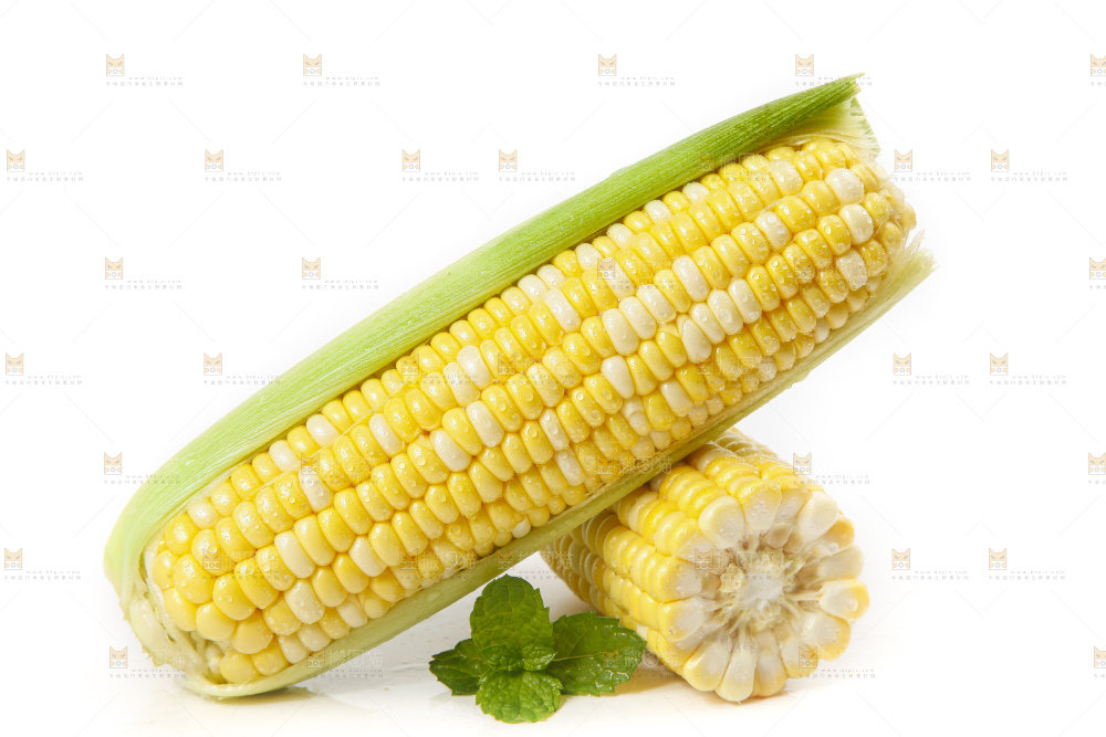 白底放着的玉米棒