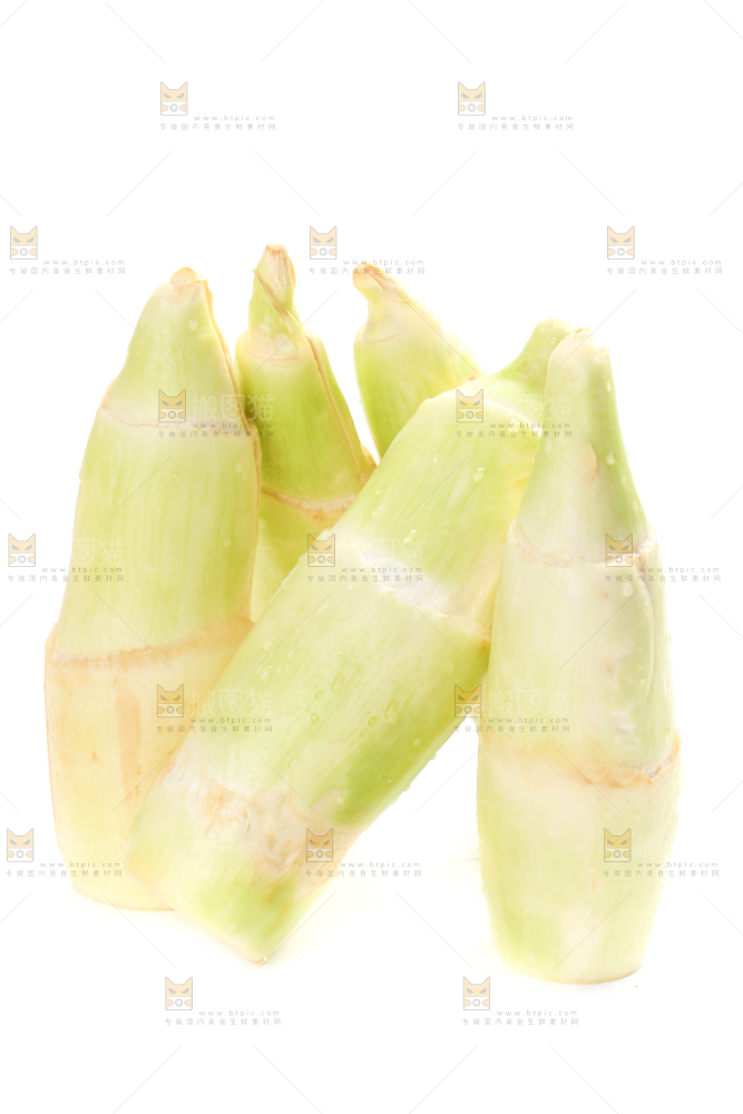 白底上的茭白