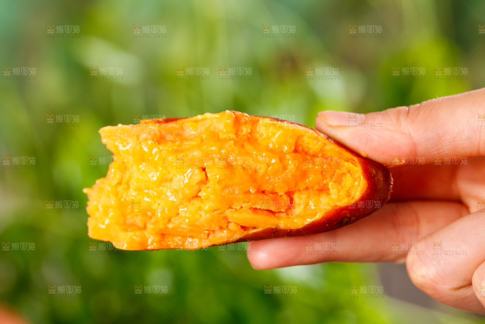 手里拿着红蜜薯