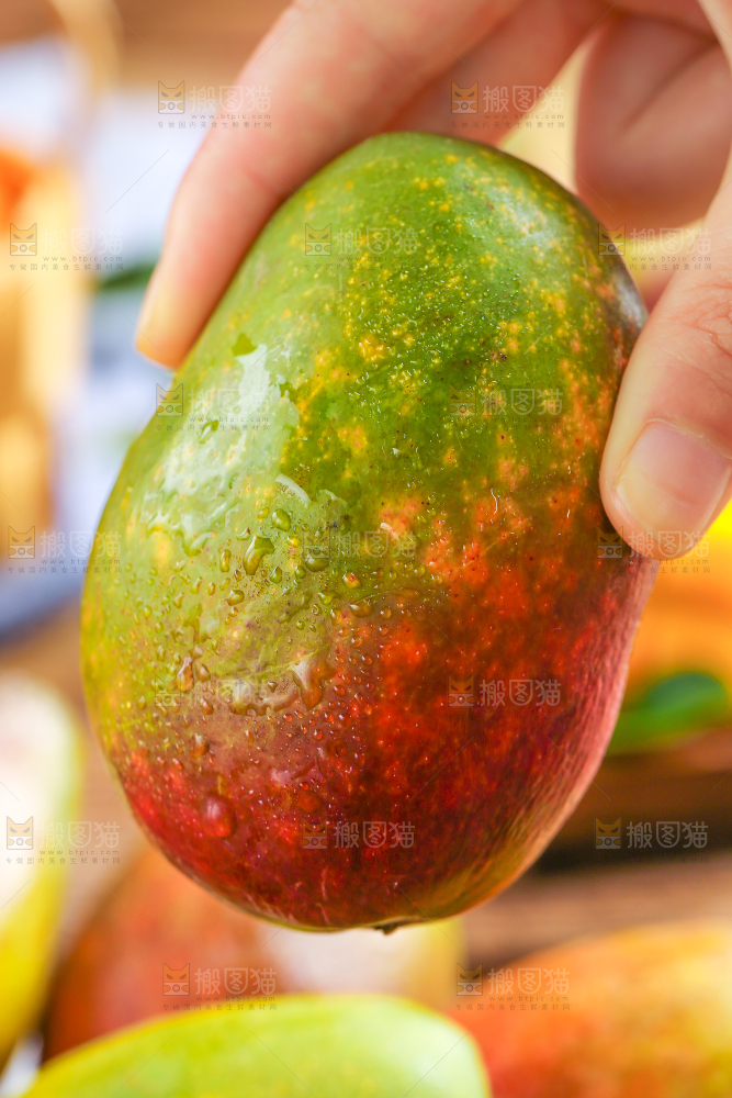 手里拿着新鲜芒果