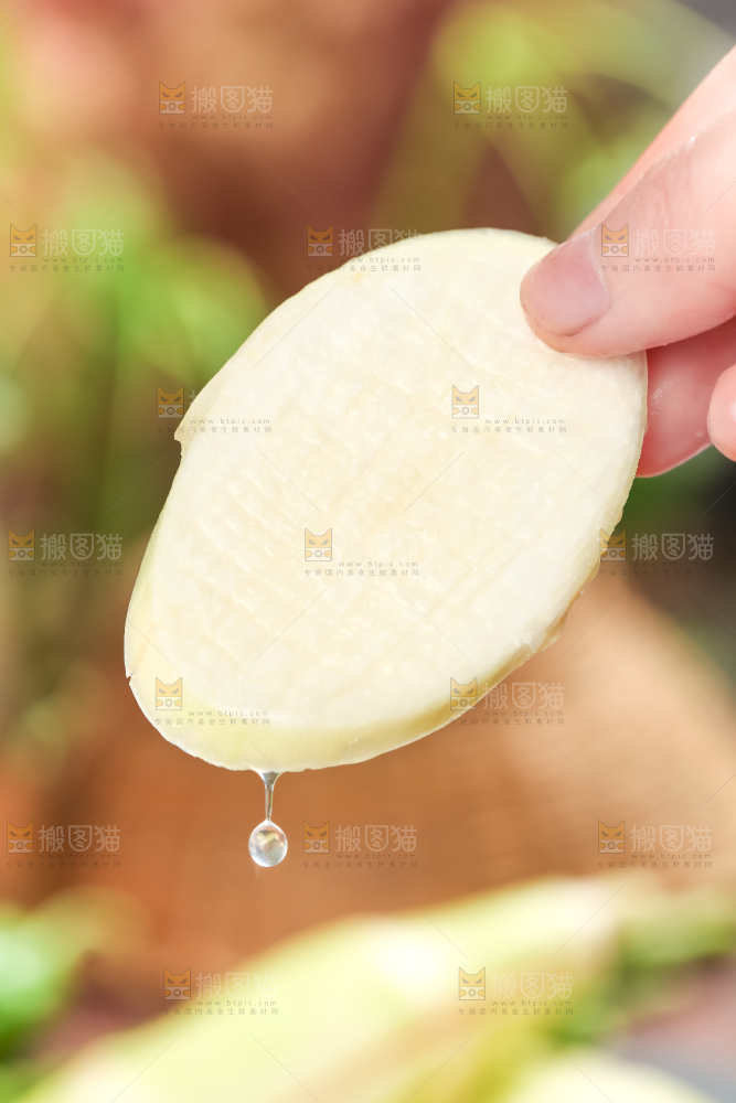 手里拿着湖北新鲜茭白