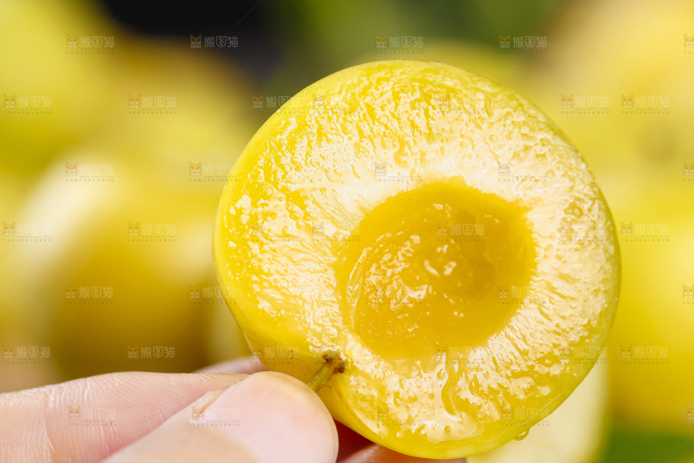 深底上放着黄金奈李