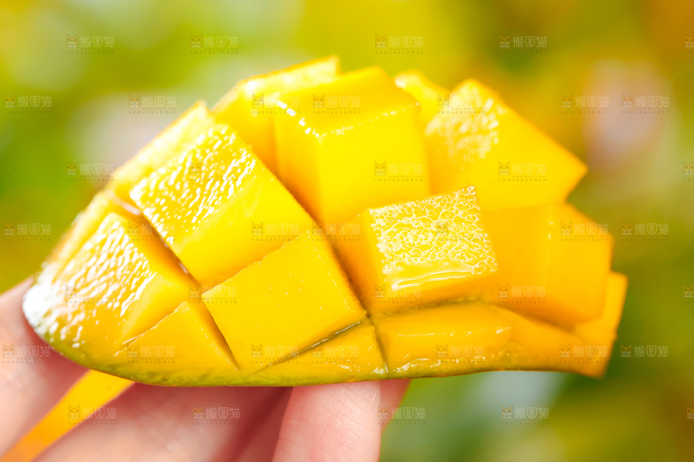 手里拿着新鲜芒果