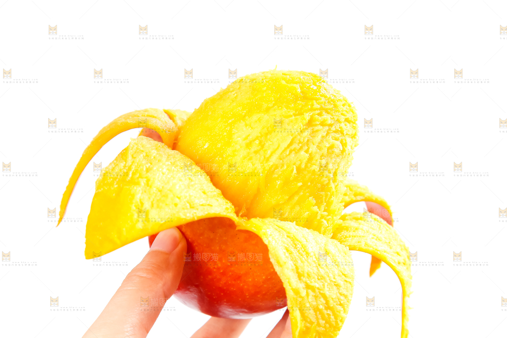 白底上的爱文芒