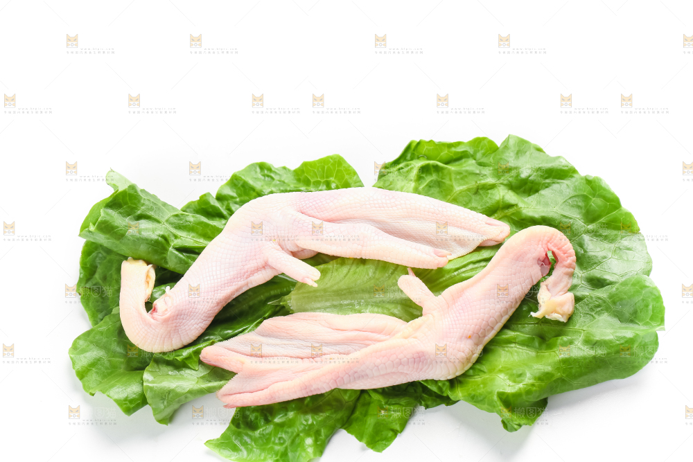 叶子上放着鸭脚