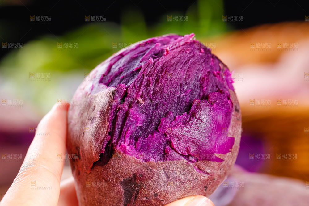 竹底上的山东紫心紫薯