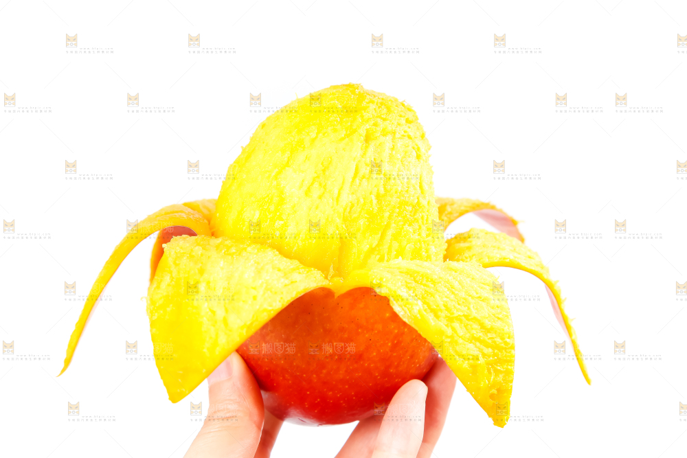 白底上的爱文芒