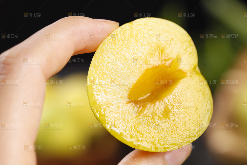 手上拿着黄金奈李