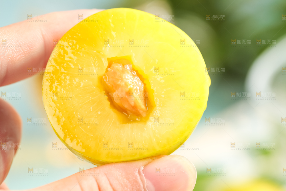 手里拿着新鲜黄金奈李