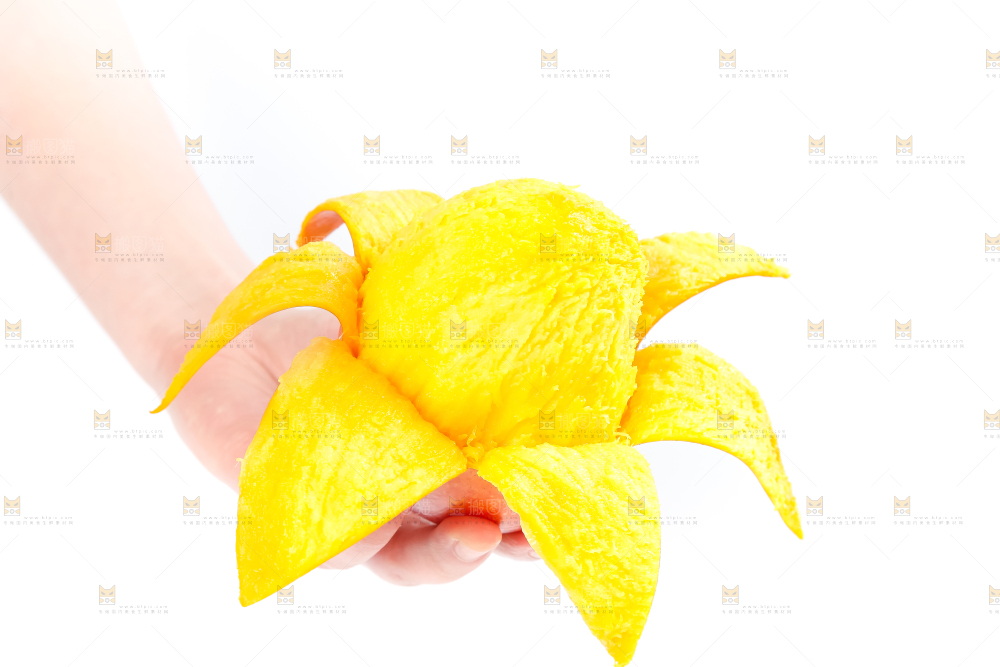 白底上的爱文芒