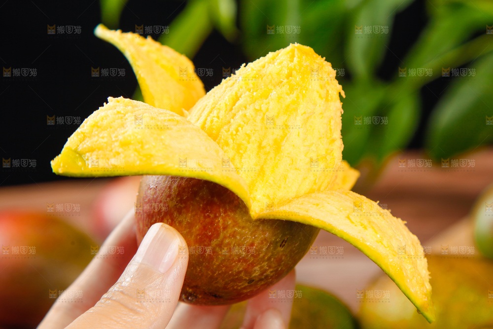 手里拿着新鲜芒果