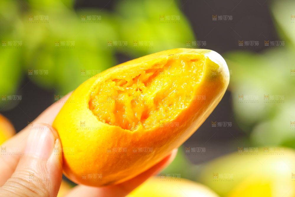 手上拿着海南台农芒果