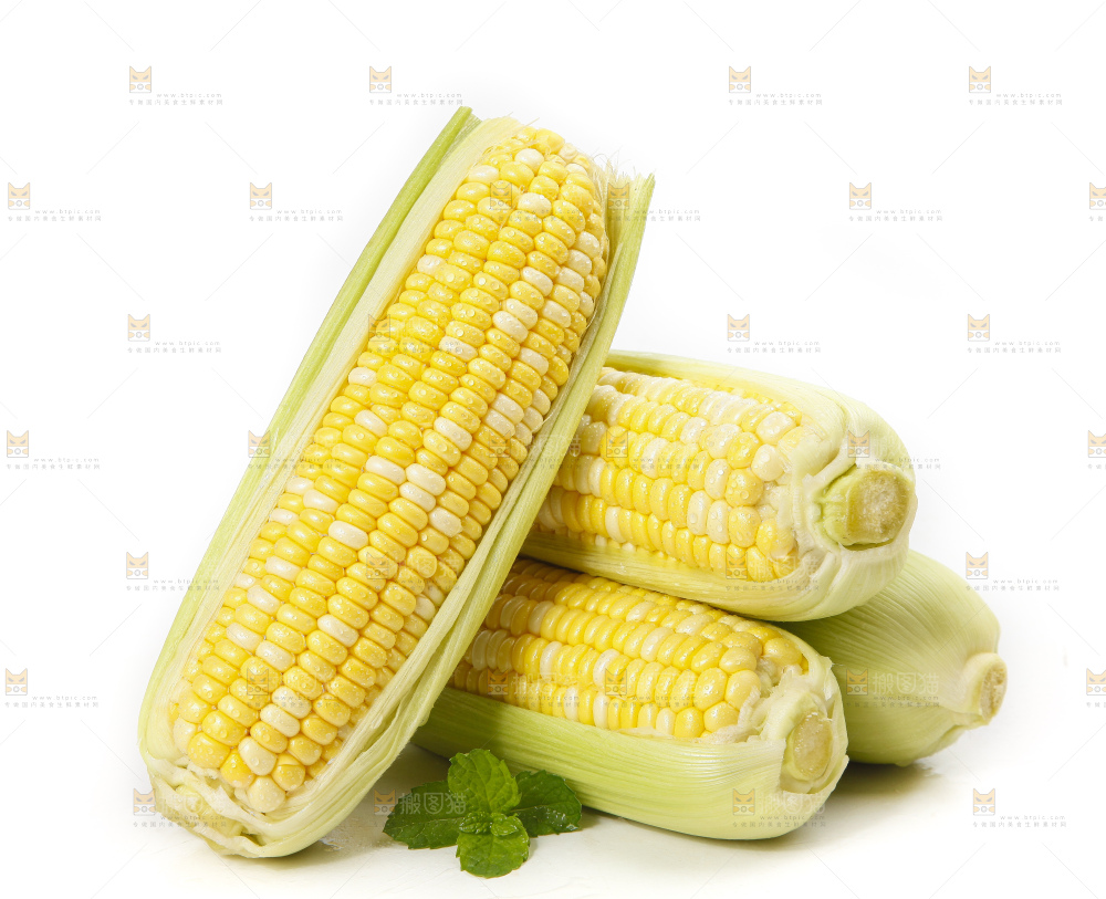 白底放着的玉米棒