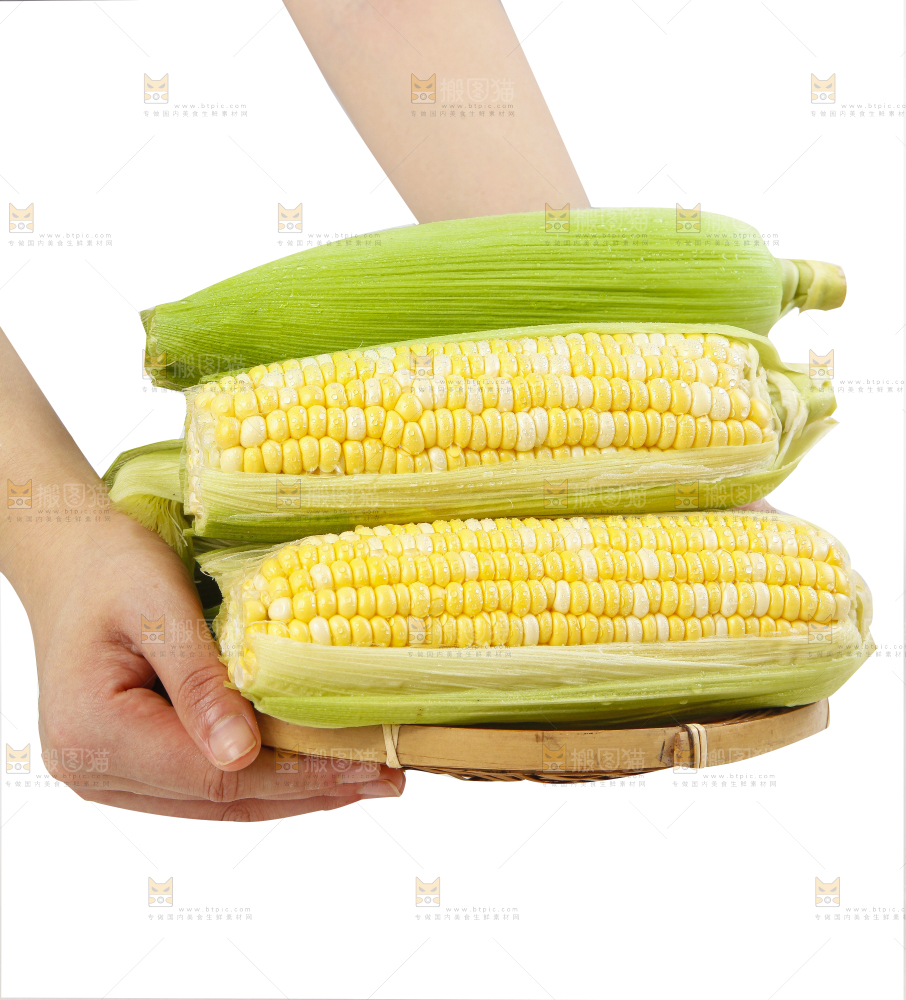 白底放着的玉米棒