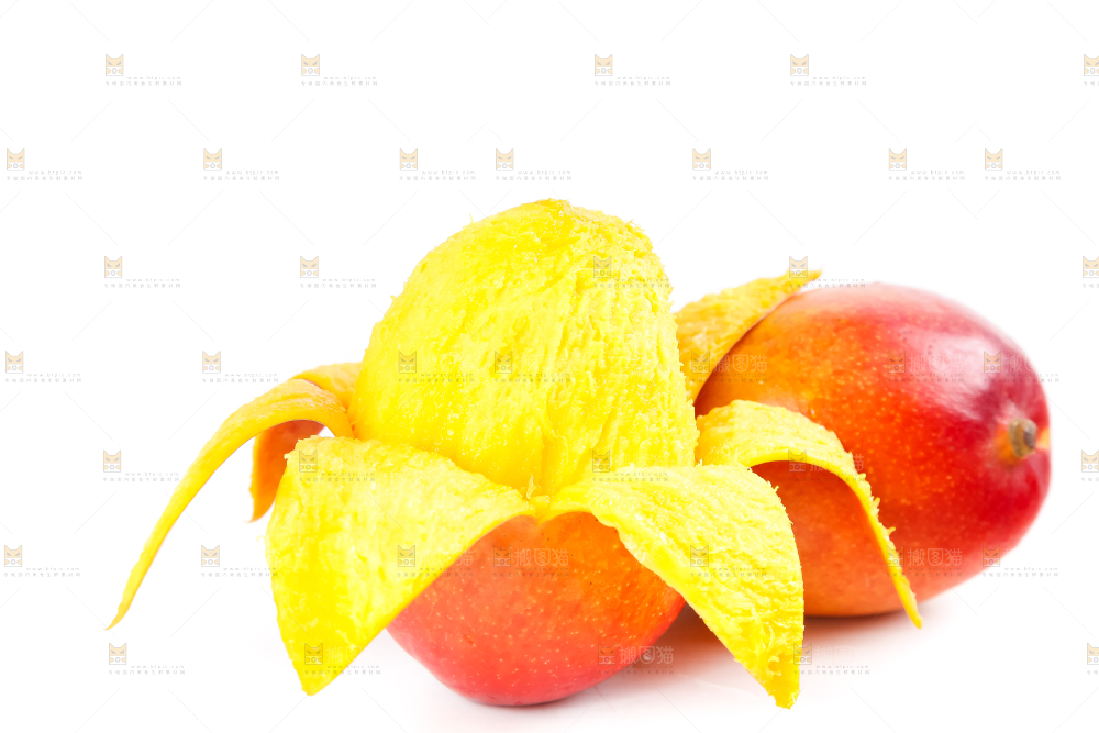 白底上的爱文芒