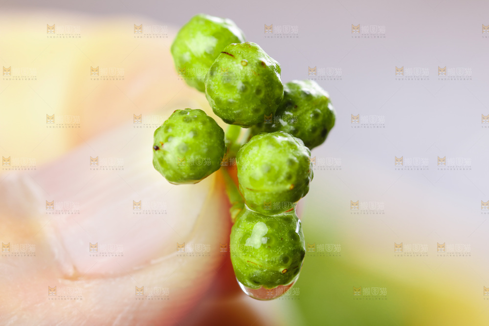 木板上的九叶青花椒