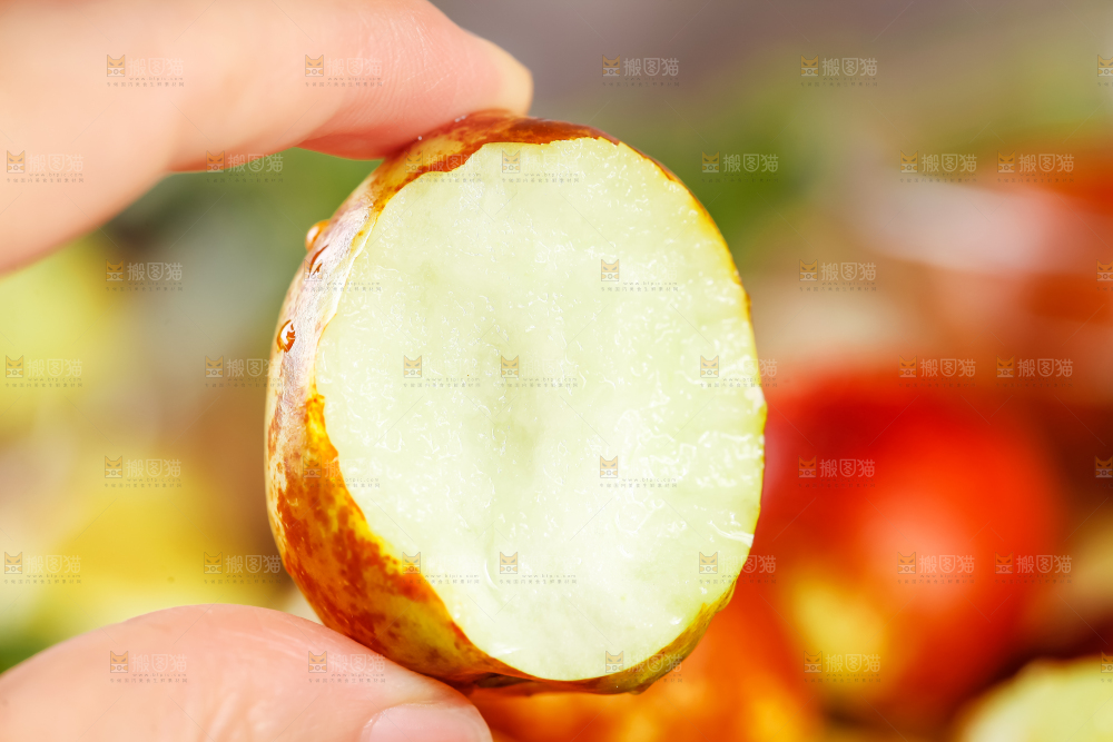 手里拿着沾化冬枣
