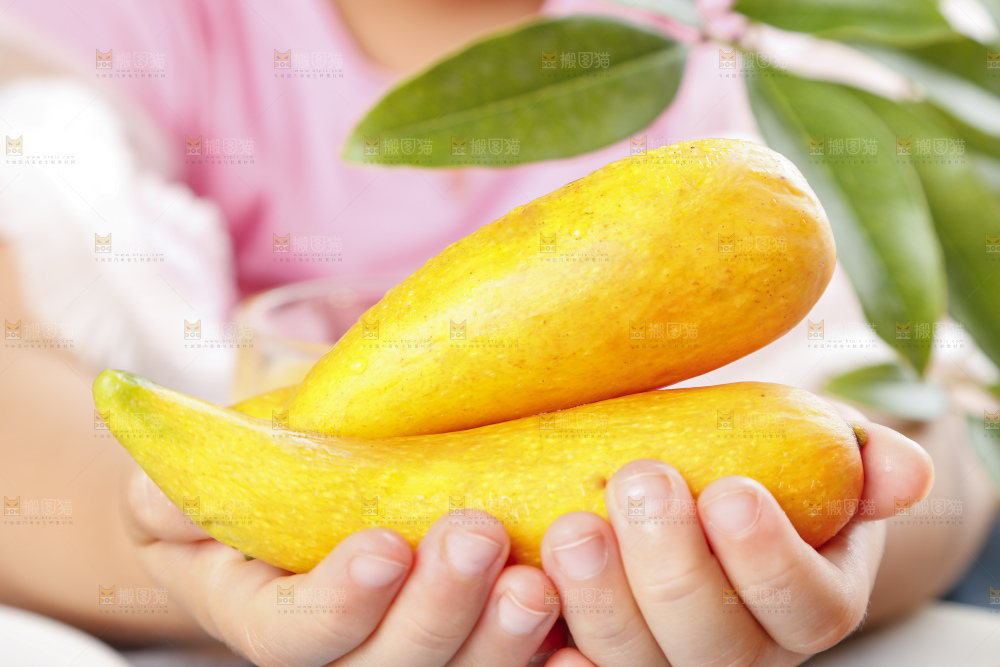 手里拿着新鲜芒果