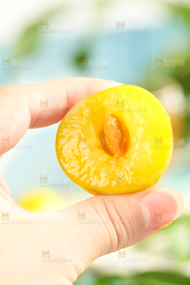 手里拿着新鲜黄金奈李