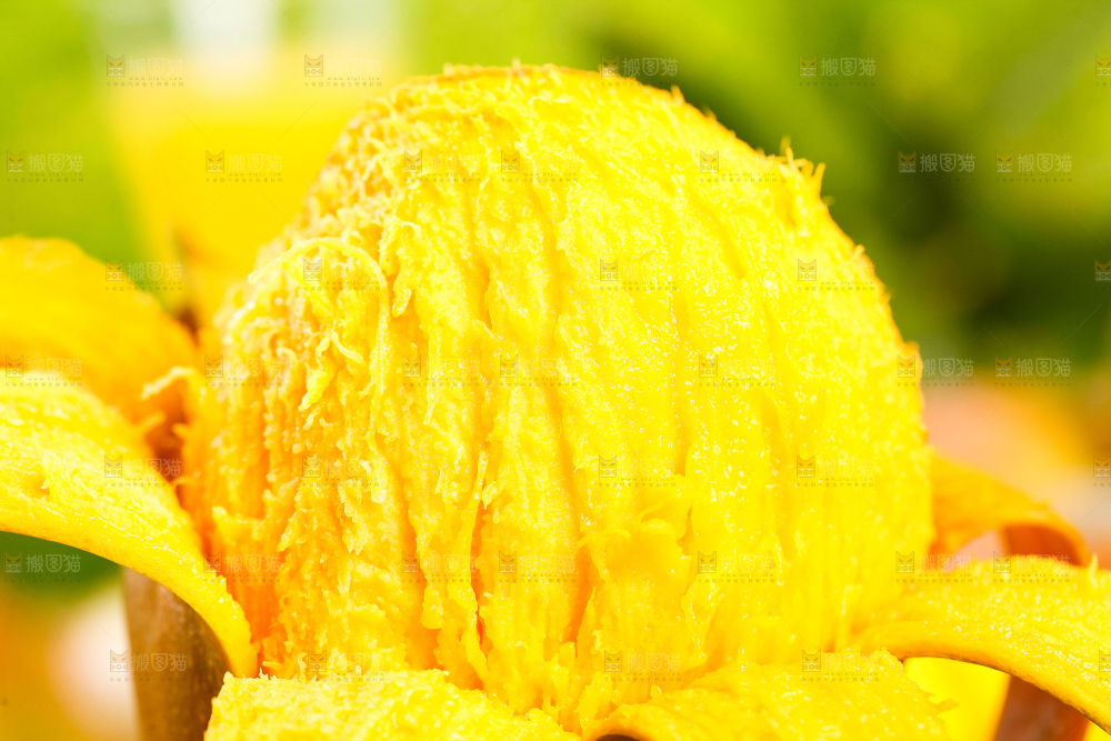 亮底上的苹果芒