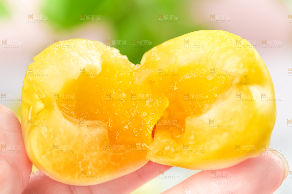 手里拿着黄金奈李