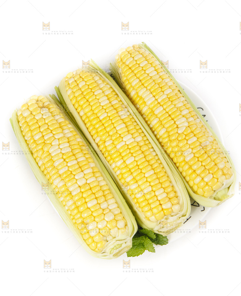 白底放着的玉米棒