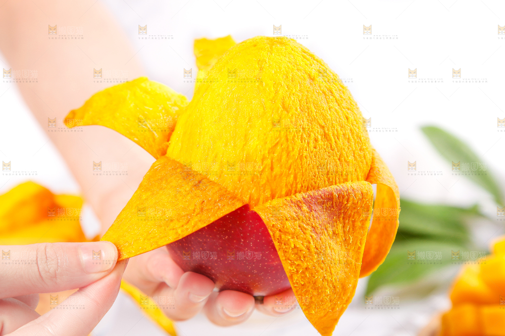手里拿着新鲜芒果