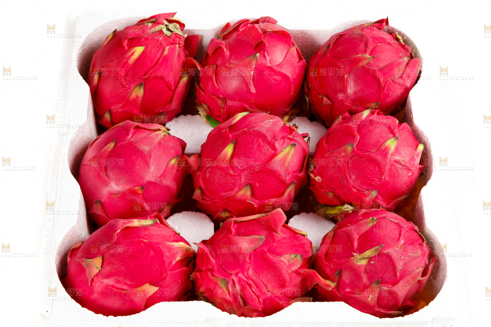 白底上放着金都一号红心火龙果