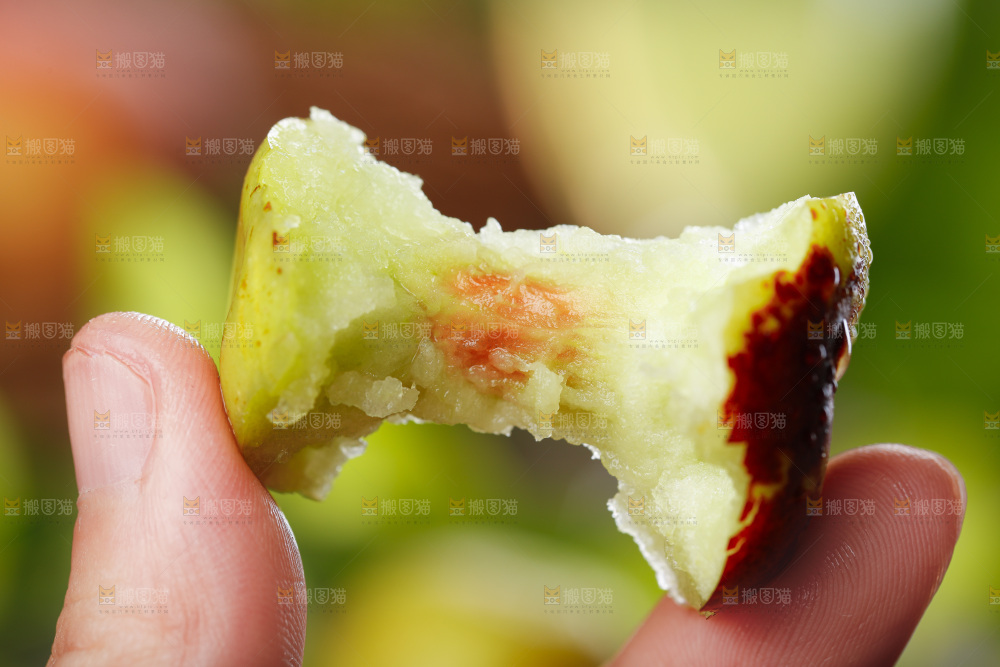 手里拿着大荔冬枣