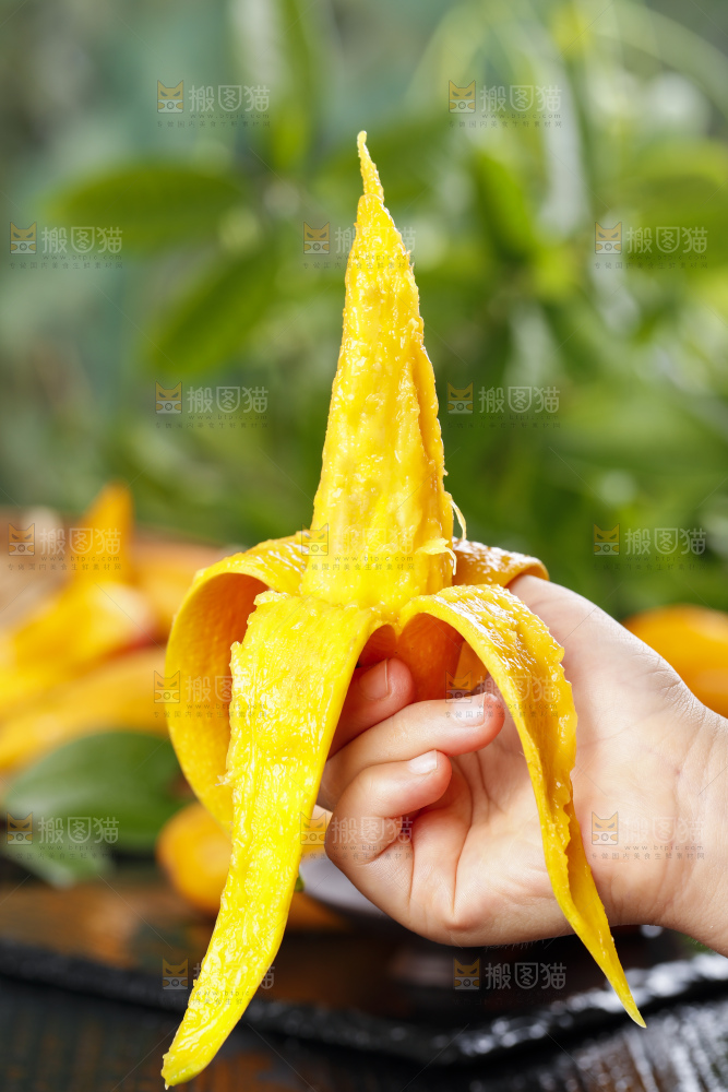 手里拿着新鲜芒果