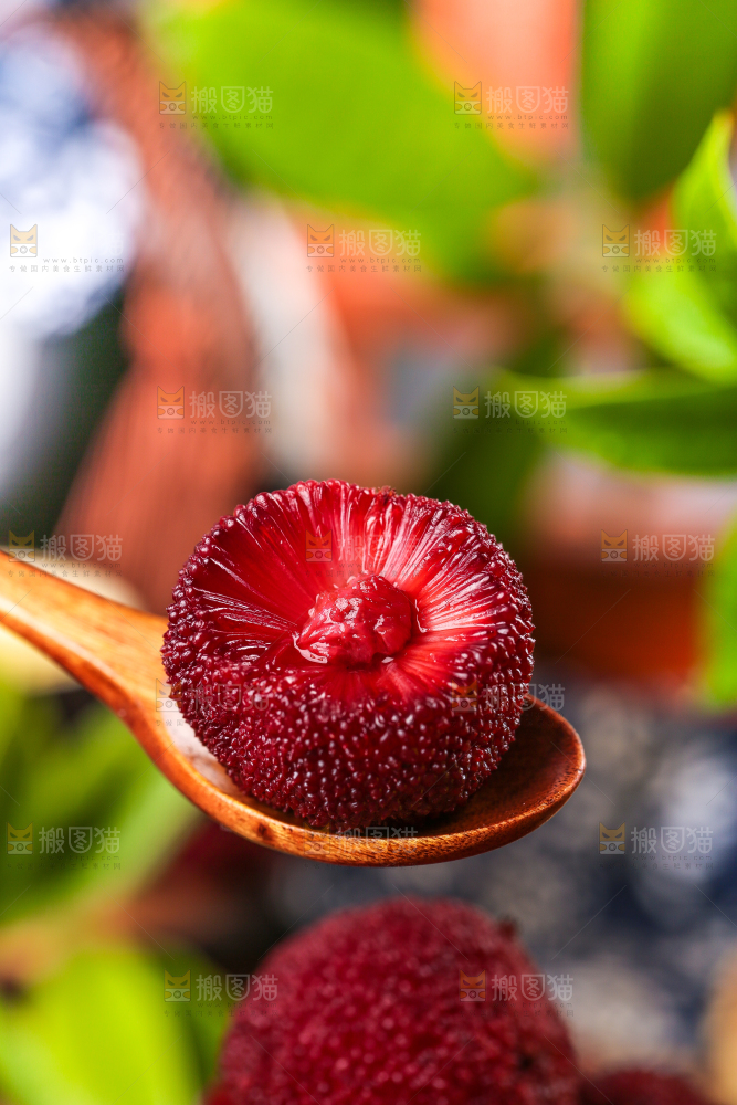 深底上放着余姚杨梅