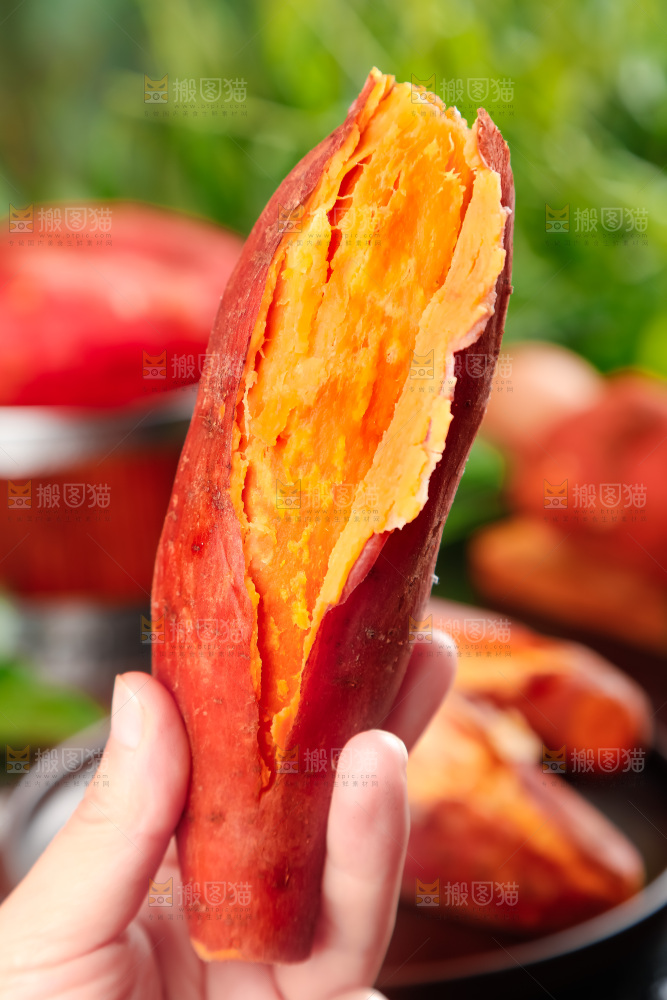 手里拿着板栗薯