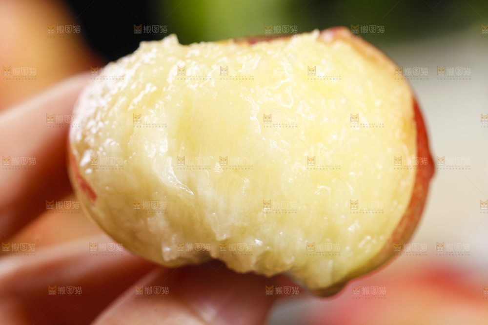 手里拿着新鲜油蟠桃