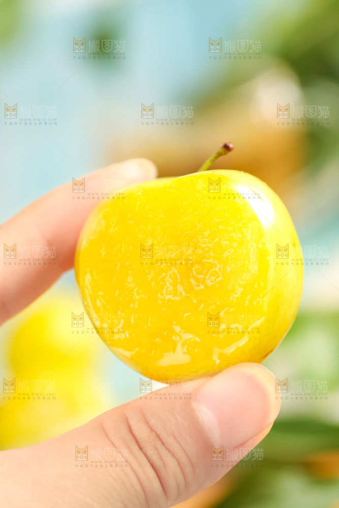 手里拿着新鲜黄金奈李