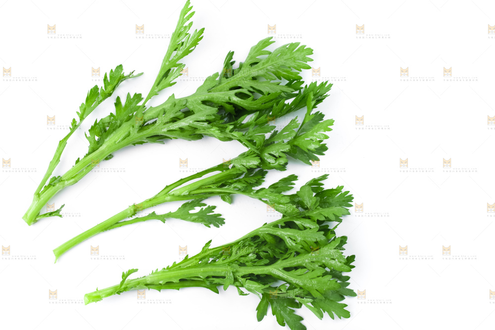 白底上的蓬蒿菜