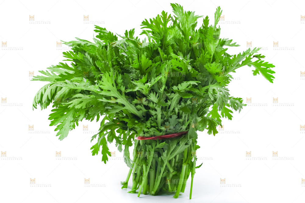白底上的蓬蒿菜