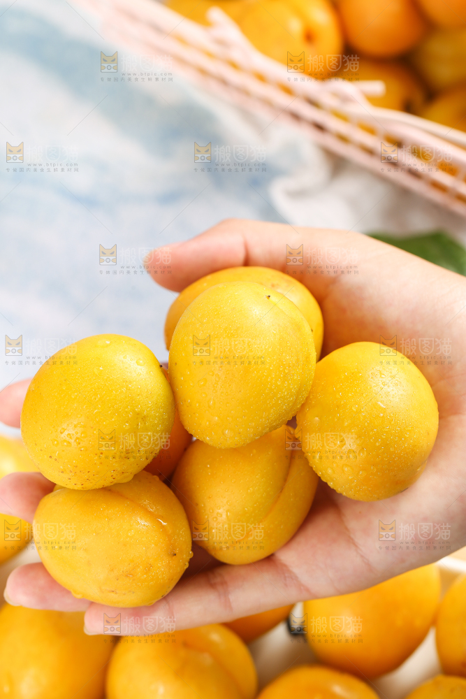 小白杏