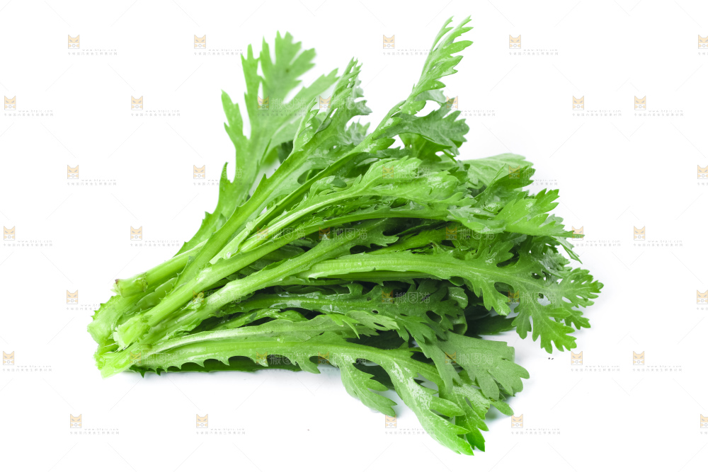 白底上的蓬蒿菜