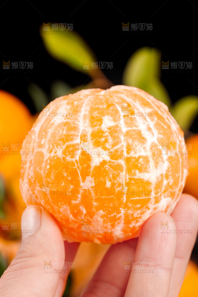 手里拿着新鲜沃柑